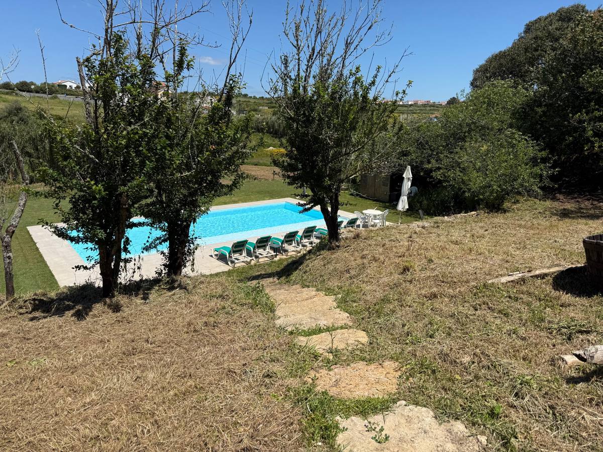 Stone steps leading down a grassy slope between trees to the pool